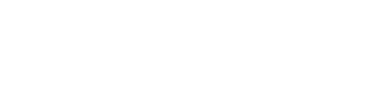 Nuo Simulation